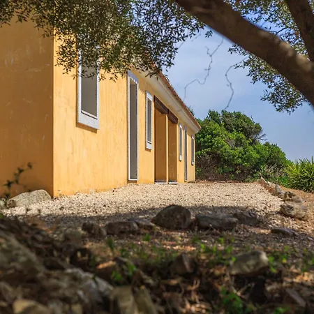 Isa - With Common Swimming-pool And Outdoor Private Area In 3*